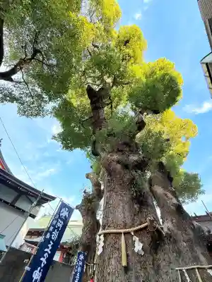 阿倍王子神社(大阪府)