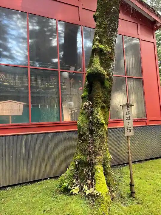 日光二荒山神社(栃木県)