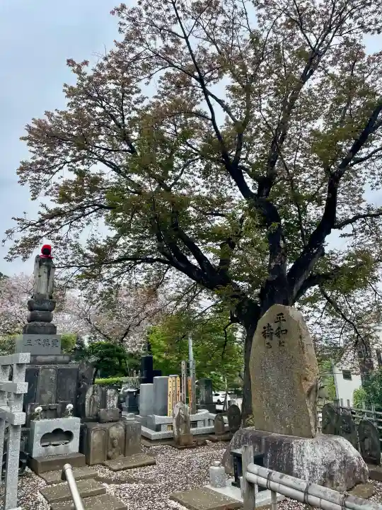 東光寺の{uncategorized: "未分類", other: "その他", undefined: "問題あり", building: "その他建物", grave: "お墓", sacred_gate: "鳥居", guardian: "狛犬", statue: "像", buddha: "仏像", history: "歴史", nature: "自然", garden: "庭園", animal: "動物", pagoda: "塔", temizu: "手水舎", mountain_gate: "山門・神門", sanctuary: "本殿・本堂", subordinate: "末社・摂社", art: "芸術", scenery: "景色", jizo: "地蔵", ema: "絵馬", goshuin: "御朱印", omikuji: "おみくじ", items: "授与品その他", amulet: "お守り", goshuincho: "御朱印帳", eats: "食事", festival: "お祭り", votive_dance: "神楽", shichigosan: "七五三参", wedding: "結婚式", experience: "体験その他", initially: "初詣", around: "周辺", anti_infection: "感染症対策"}