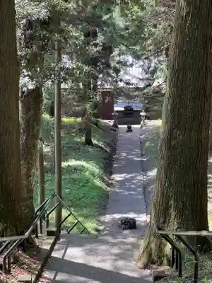 山宮浅間神社(静岡県)