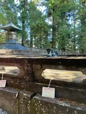 日光東照宮(栃木県)