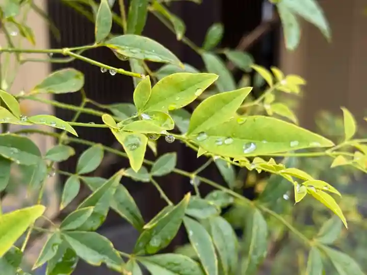西方山極楽寺(岐阜県)