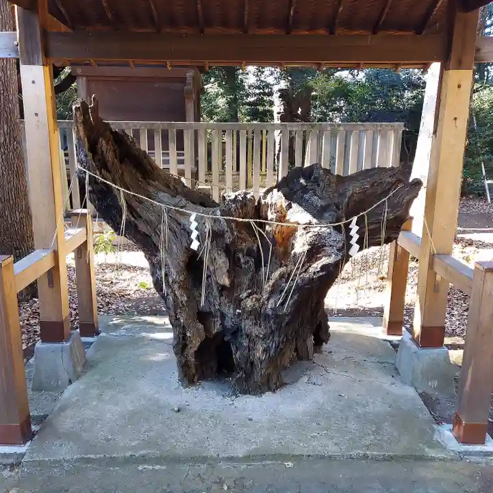 八雲氷川神社の自然