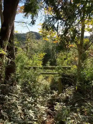 神社（名称不明）の鳥居