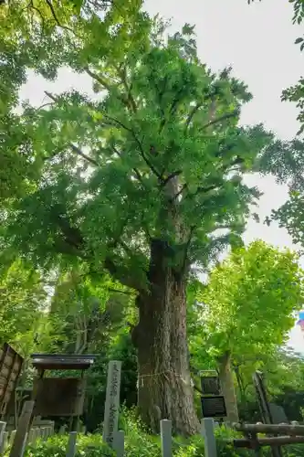 芝東照宮のその他建物