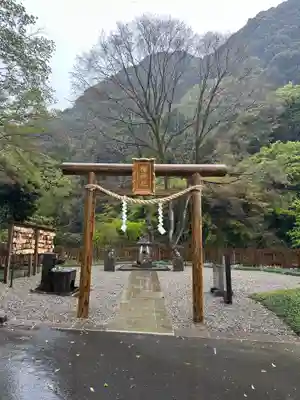 猫神社(鹿児島県)