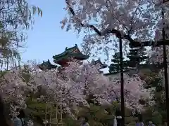 平安神宮(京都府)