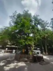 大神神社(奈良県)