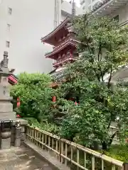 太融寺の建物その他