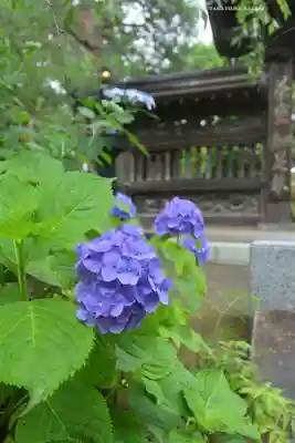 高幡不動尊　金剛寺(東京都)