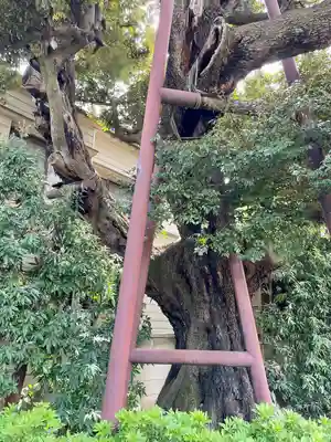 延命院(東京都)