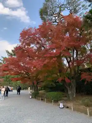 平等院(京都府)