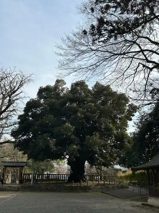 一之宮貫前神社(群馬県)