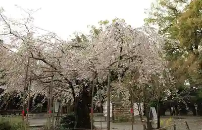 水無瀬神宮(大阪府)