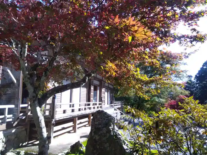 古知谷阿弥陀寺(京都府)