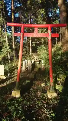 菅東山出世稲荷神社の鳥居