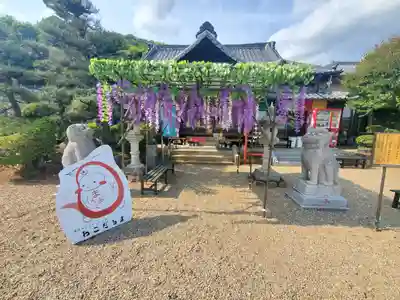 萬福寺のその他建物