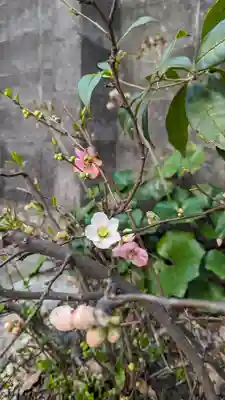 後白河院御聖蹟　法住寺(京都府)