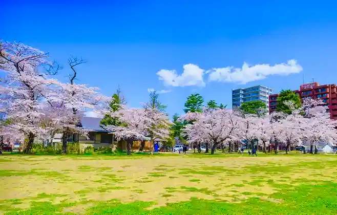 櫻岡大神宮の景色