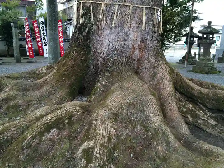 須賀神社(福岡県)