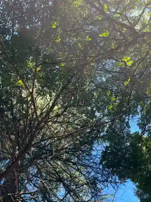氷川女體神社(埼玉県)