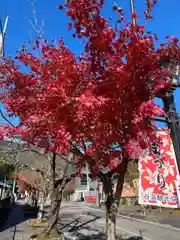 華厳寺(岐阜県)