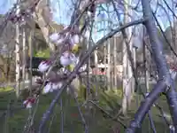 足羽神社(福井県)