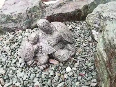蛭子神社（沖洲蛭子神社）の狛犬