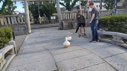 神泉苑(京都府)