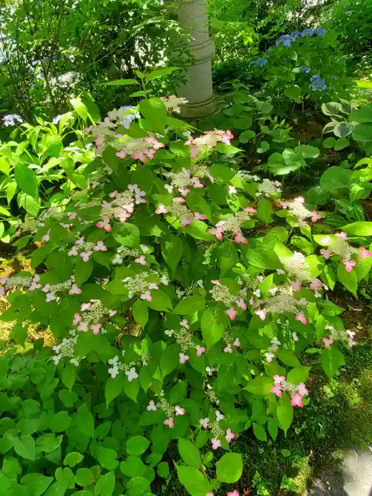 長命寺(福島県)