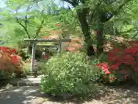 愛宕神社の鳥居