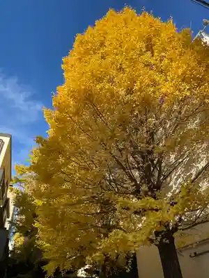 銀杏岡八幡神社(東京都)