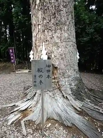 滑川神社 - 仕事と子どもの守り神の自然