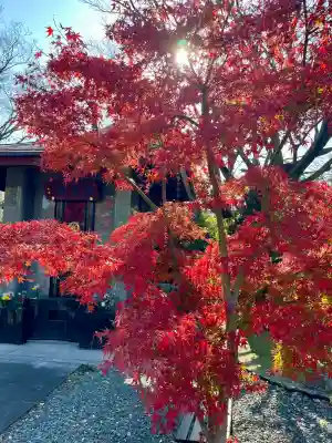法泉寺(東京都)