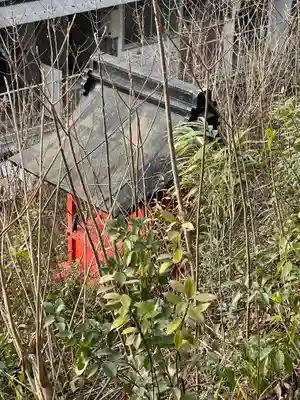 吉田神社の本殿・本堂