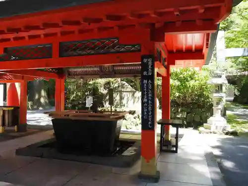 箱根神社の手水舎