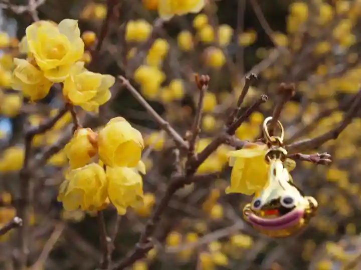 板倉雷電神社(群馬県)