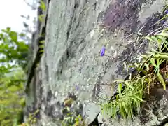 高峯神社(大室神社奥宮)の自然