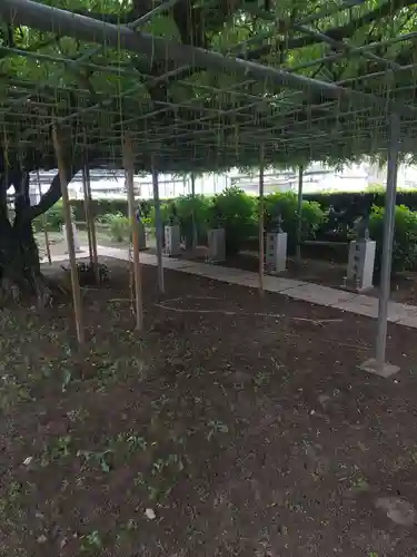 龍泉寺（足利厄除大師）(栃木県)