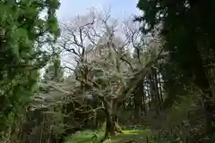 風巻神社奥社(新潟県)