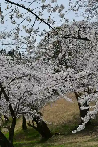 蒼柴神社(新潟県)