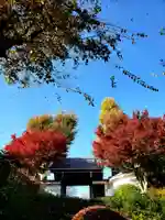 神足寺の山門・神門