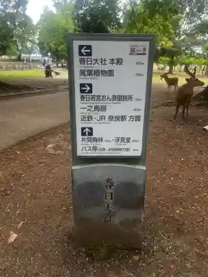 春日若宮おん祭御旅所の{uncategorized: "未分類", other: "その他", undefined: "問題あり", building: "その他建物", grave: "お墓", sacred_gate: "鳥居", guardian: "狛犬", statue: "像", buddha: "仏像", history: "歴史", nature: "自然", garden: "庭園", animal: "動物", pagoda: "塔", temizu: "手水舎", mountain_gate: "山門・神門", sanctuary: "本殿・本堂", subordinate: "末社・摂社", art: "芸術", scenery: "景色", jizo: "地蔵", ema: "絵馬", goshuin: "御朱印", omikuji: "おみくじ", items: "授与品その他", amulet: "お守り", goshuincho: "御朱印帳", eats: "食事", festival: "お祭り", votive_dance: "神楽", shichigosan: "七五三参", wedding: "結婚式", experience: "体験その他", initially: "初詣", around: "周辺", anti_infection: "感染症対策"}