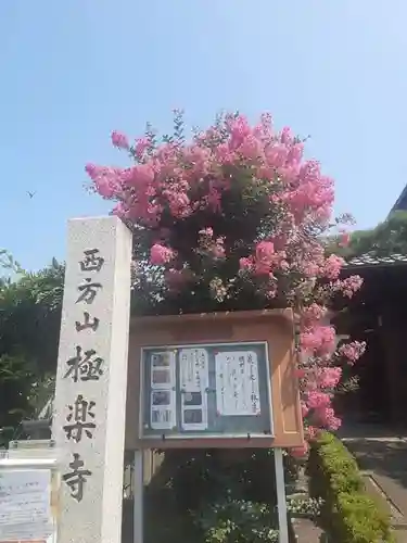 西方山極楽寺(岐阜県)