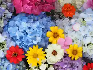 今市報徳二宮神社の手水舎 2021年06月18日(金)〜(2021年06月18日(金) 16時20分15秒投稿)