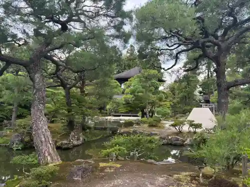 慈照寺（慈照禅寺・銀閣寺）の庭園