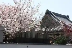 日蓮宗 安楽寺のその他建物(2020年04月11日(土) 00時43分18秒投稿)