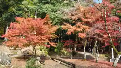 鶏足寺(滋賀県)