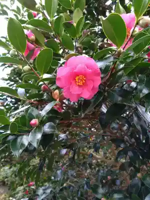 鎮懐石八幡宮(福岡県)