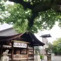 尾張大國霊神社(国府宮)の本殿・本堂